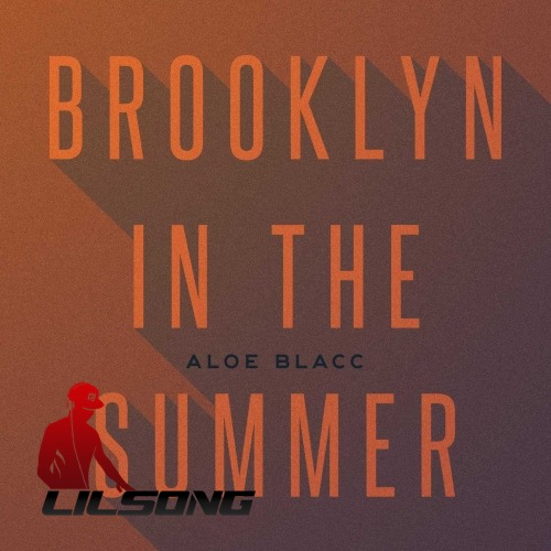 Aloe Blacc - Brooklyn In The Summer